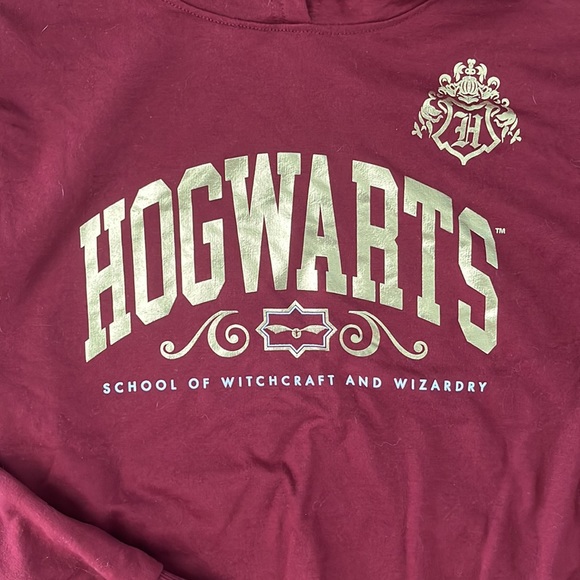 Harry Potter Hogwarts School of Witchcraft and Wizardry Hoodie - Picture 2 of 4